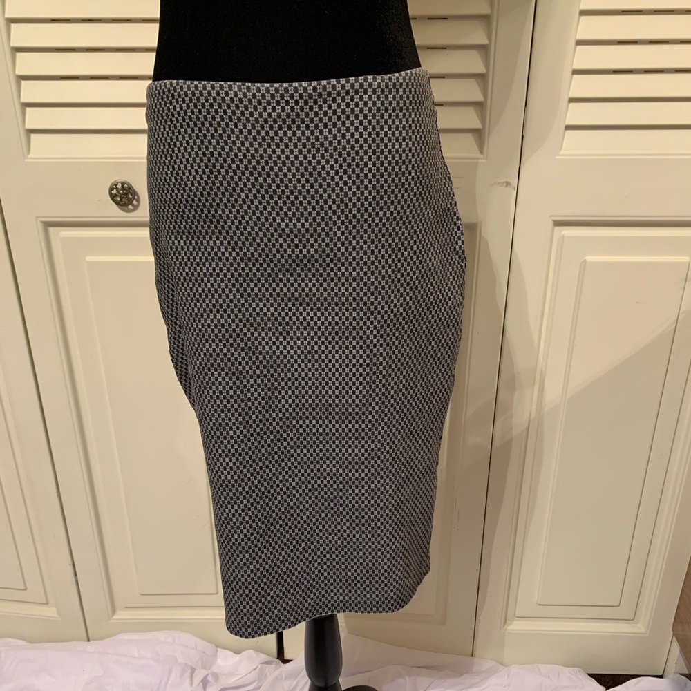 New York & Co Skirt
